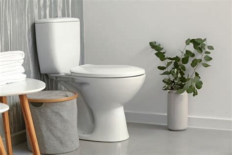 10 Best Toilets Of 2024 Reviews Top Picks And Guide House Grail