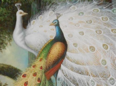 Pin By Julie Deal Hagler On Love It Peacock And Peahen Christian