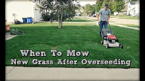 When To Mow New Grass After Overseeding And First Mow Youtube