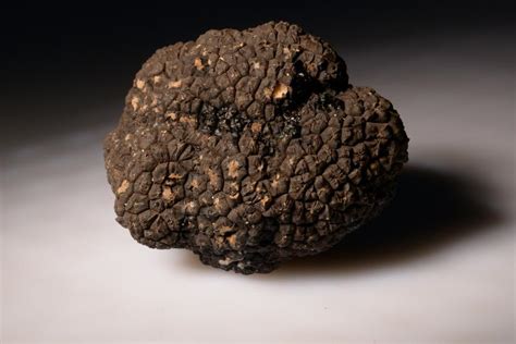 Coming This Winter Napa Valley Truffles