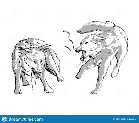 Fighting Wolf Drawings