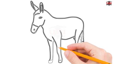 How To Draw A Donkey Step By Step Easy For Beginnerskids Simple