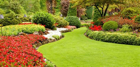 3 Key Steps To Help You Achieve A Beautiful Lawn Espares