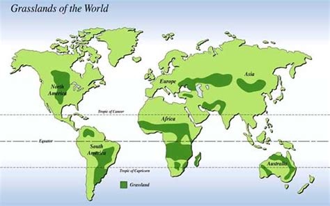 Map Of All The Grasslands In The World Grasslands