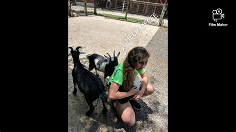 Deadly Goats Eat Young Girl Youtube