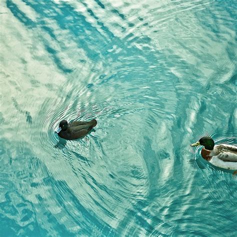 Beautiful Photographs Of Movement In Water Stockvault