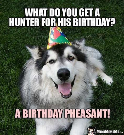 Party Dog Asks What Do You Get A Hunter For His Birthday A Birthday