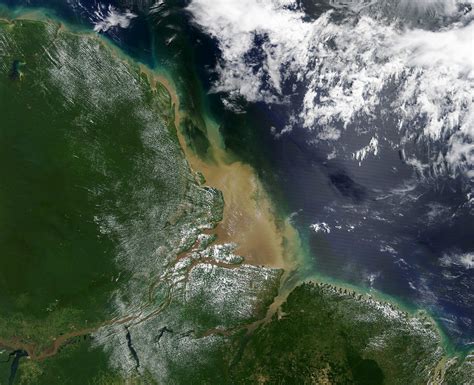 The Muddy Waters Of The Amazon River •