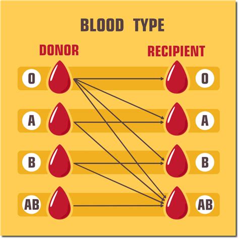 Blood Donor Charts For Blood Types
