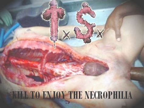 Splatter Gore Testicular Secuestry Kill To Enjoy The Necrophilia