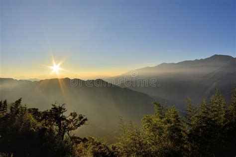 Foggy Valley Sunrise Stock Photo Image Of Plum Forest 98775600