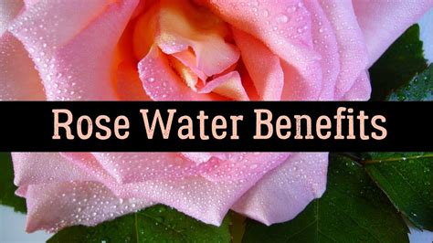 8 Amazing Rose Water Benefits That You Did Not Know Fashion Ki Batain
