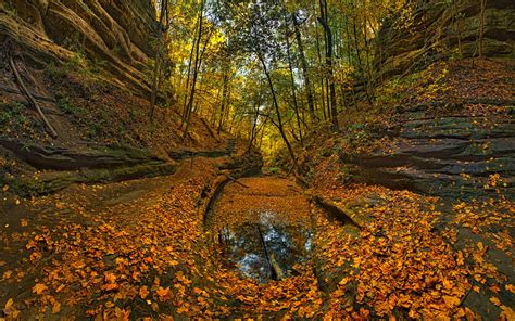 Fall Colors French Canyon Starved Rock State Park Illinois Mike