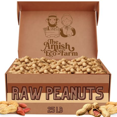 Buy Amish Eco Farm Bulk Raw Peanuts In Shell Virginia Grown By