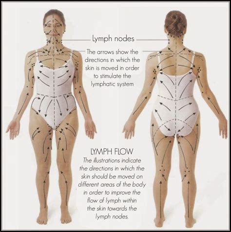 Lymphatic Flow Lymphatic Drainage Massage Dry Brushing Skin Dry