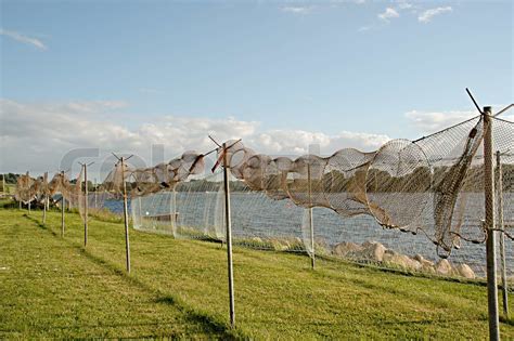Fishing Nets Are On Land Ready For Repair Stock Image Colourbox