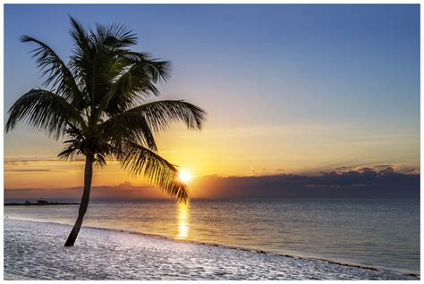 Vliestapete Palme am Strand Sonnenuntergang über dem Meer Wallario de