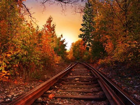 Railroad Track Autumn Leaves Colors Sunset Trees Hd Wallpaper
