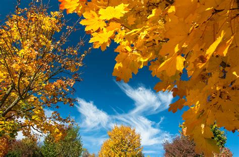 Herbstfarben Foto & Bild | jahreszeiten, herbst, blau Bilder auf fotocommunity