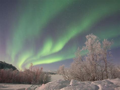 Northern Lights Vacation In Swedish Lapland Responsible Travel
