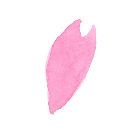 桜の花びら｜sui Sai｜手描き水彩イラストフリー素材集