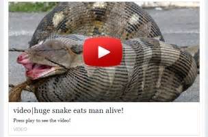 WARNING Huge Snake Eating A Man Alive Video Scam Returns To Facebook