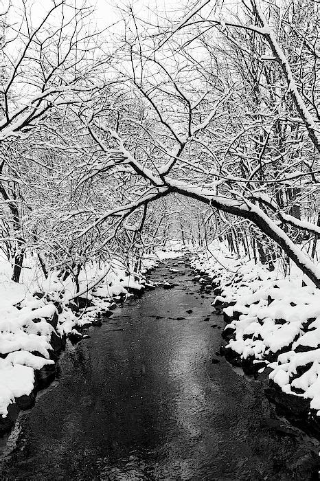 Snow Covered Creek By Liz Albro In 2021 Black And White Picture Wall