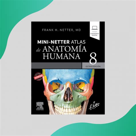 Netter Mini Netter Atlas De AnatomÍa Humana 8 Edicion Elsevier