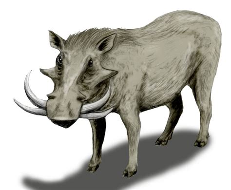 Artiodactyla Giant Warthog The Zt2 Round Table