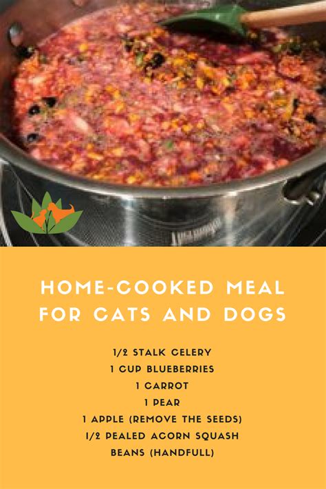 We've got the lowdown on this healthy buying a quality dog food is an essential part of pet ownership, and you should speak to your vet to get a recommendation. Home-Cooked Pet Meals: It's Easy & Healthy | Vegetarian ...