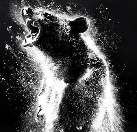 ‘Cocaine Bear’ Review: An Up to Snuff Blockbuster Revival | Arts | The