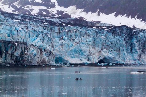 Glaciers At Glacier Bay Alaska Stock Photo Image Of Destinations