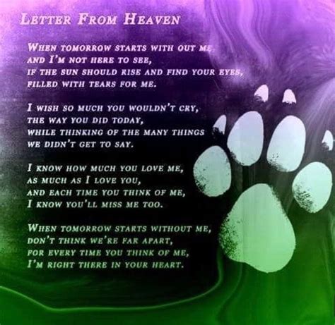 Pin By Marna Rollins On Quotes Letter From Heaven Dog Heaven Pet Poems