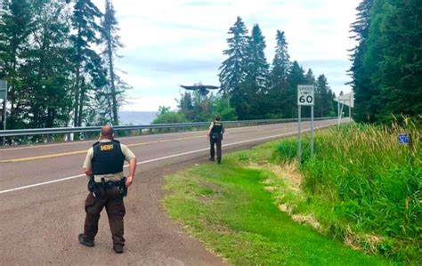 Recreating the good old fashioned drive in movie vibe!! Eagle attacks woman near North Shore restaurant, kitchen ...