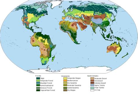 The World Map Shows Different Types Of Vegetation