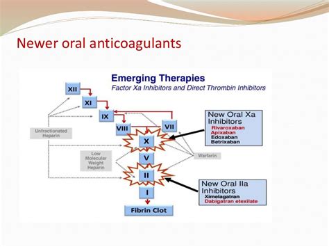 Oral Anticoagulants Ppt