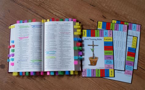 Reformation Home Child Training Bible Review