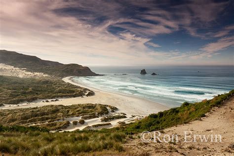 Sandfly Bay New Zealand Image D By Ron Erwin