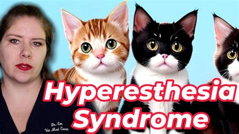 Vet Advice On Identifying And Treating Feline Hyperesthesia Syndrome Youtube