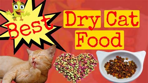 10 Best Dry Cat Foods 2020 Top 10 Best High Protein Dry Cat Foods In