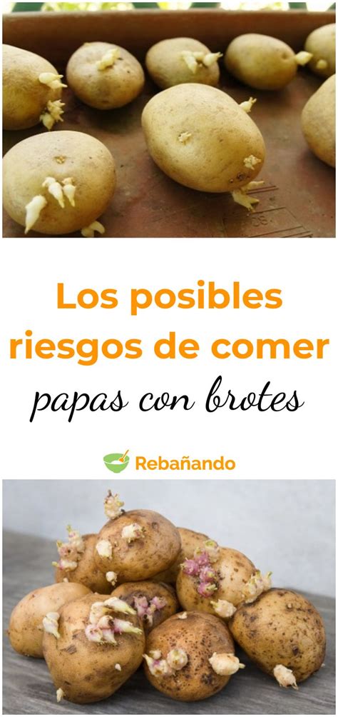 ¿qué Pasa Cuando Comemos Papas Con Brotes Papas Patatas Salud