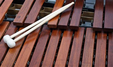 the xylophone a pitched percussion instrument phamox music