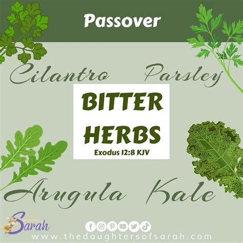 Dont Know What Bitter Herbs To Eat This Passover No Worries Dos
