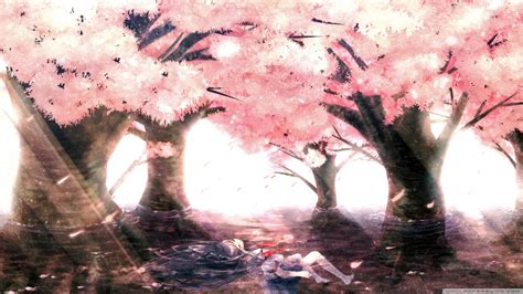 Anime Girl Under Cherry Blossom Tree Posted By John Cunningham