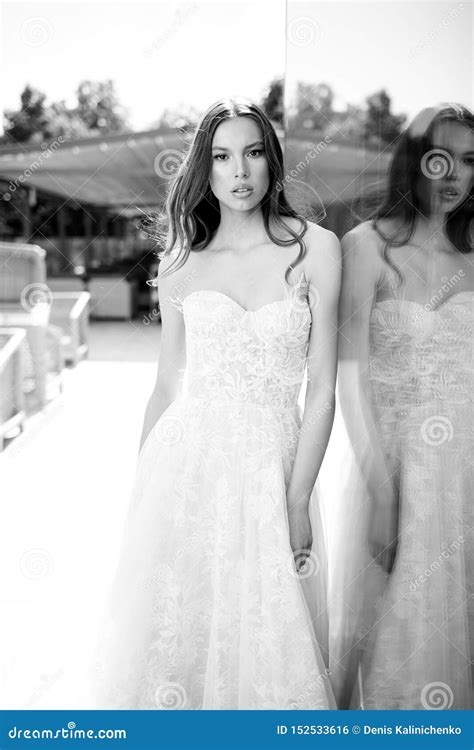 Gorgeous Beauty Young Bride Portrait Beautiful Bride With Wedding