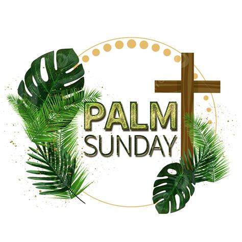 Palm Sunday White Transparent Creative Palm Sunday Plant Border Palm
