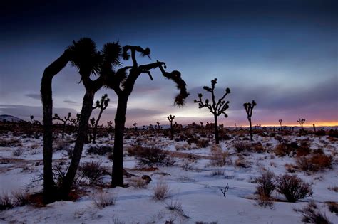 Spare Parts And Pics Snow In Joshua Tree