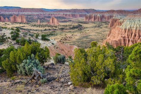 Capitol Reef National Park Utah United States Of America Archives
