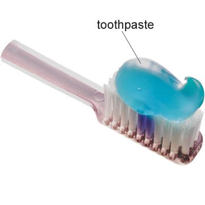 Over 100,000 spanish translations of english words and phrases. toothbrush | meaning of toothbrush in Longman Dictionary ...