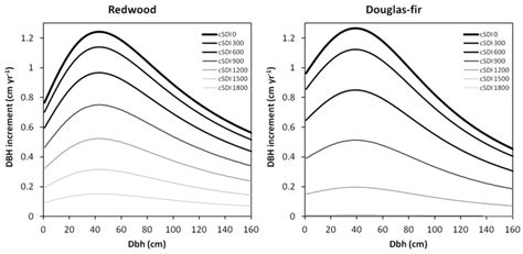 This tree grows at a fast rate, with height increases of more than 24 per year. Forests | Free Full-Text | Modeling Young Stand ...